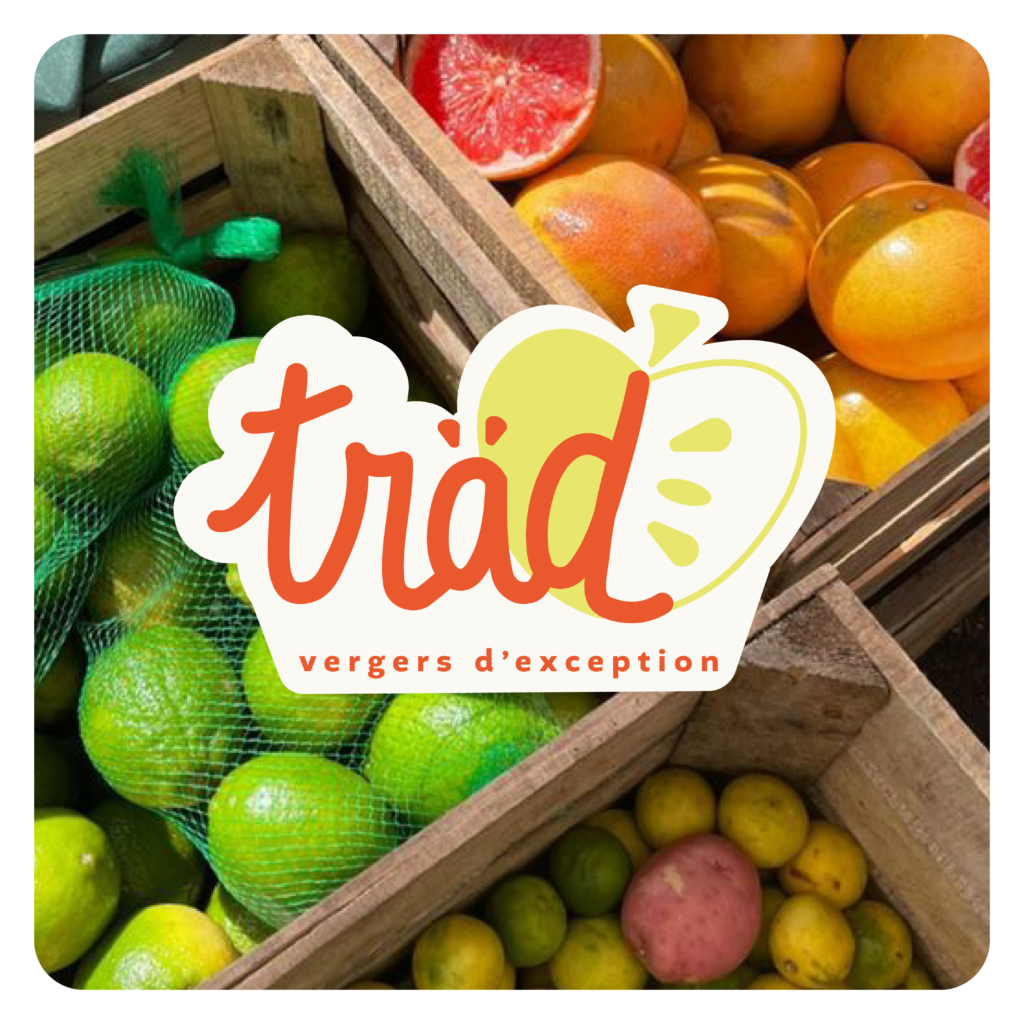 identité visuelle TRÄD